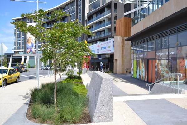 A photo of Tooronga Village, a project which Dinsan Nursery supplied wholesale plants for.