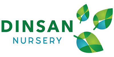 Dinsan Nursery