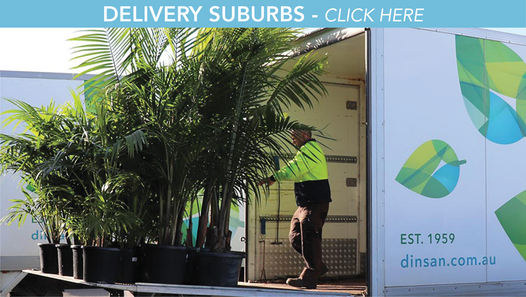 Delivery Suburbs - Click Here