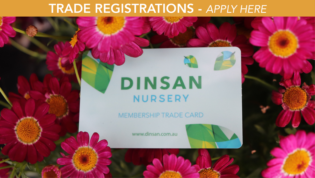 Trade Registration - apply here