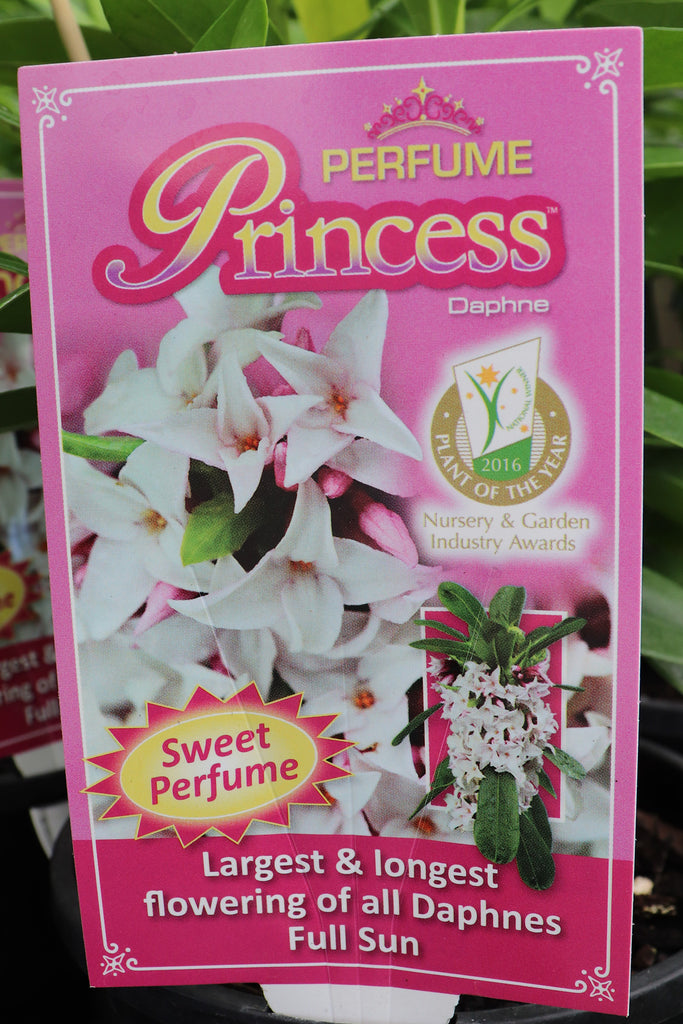 Perfume Princess label