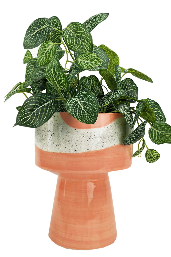 Avery Dot Vase with plant